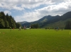 Fussballfeld
