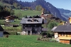 Das Haus im Sommer